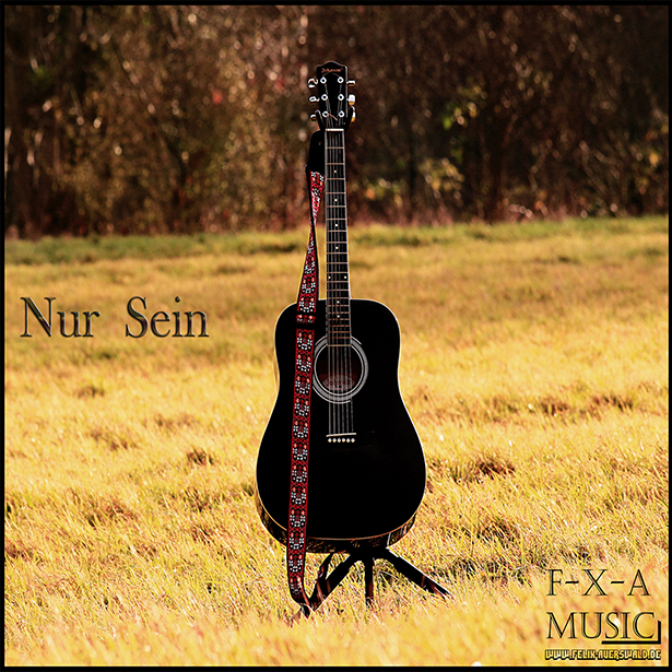 Album Cover - Nur Sein Album