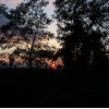 Natur